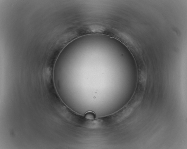 X0000113340321200909151136