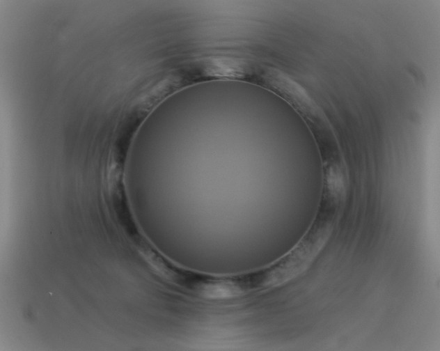 X0000113340322200909151136