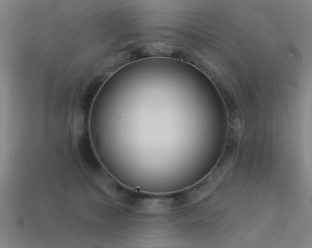 X0000113340323200909151136