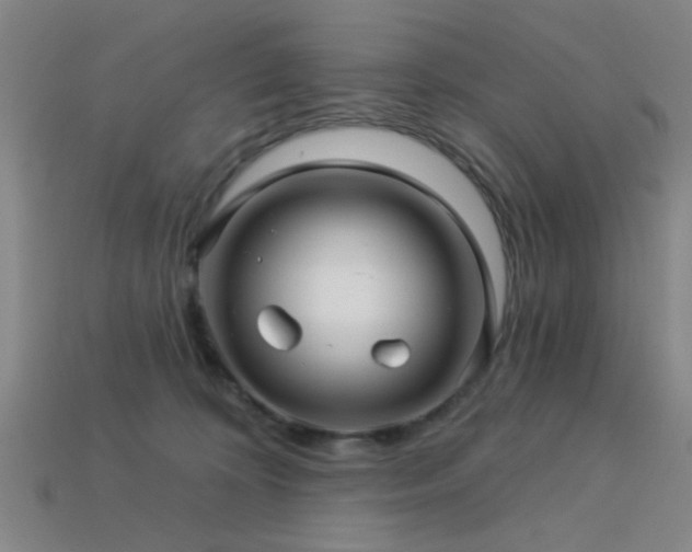 X0000113340324200909151136