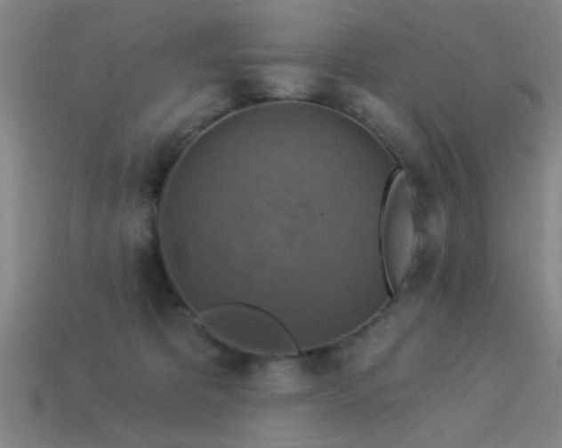 X0000113340325200909151136