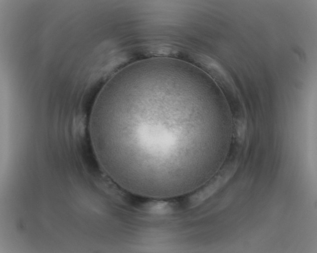 X0000113340326200909151136