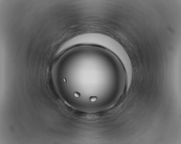 X0000113340327200909151136