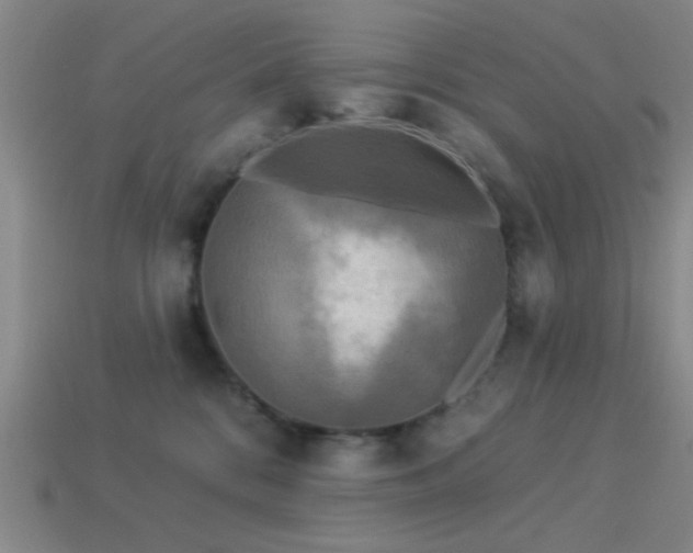 X0000113340328200909151136