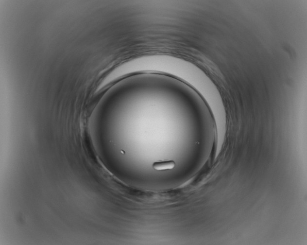 X0000113340329200909151136