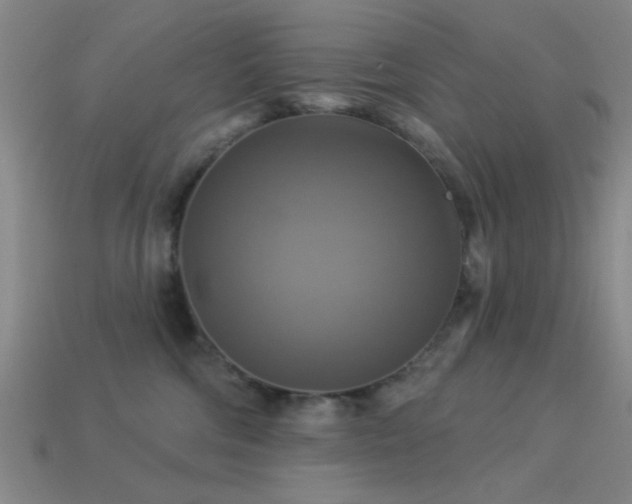 X0000113340330200909151136