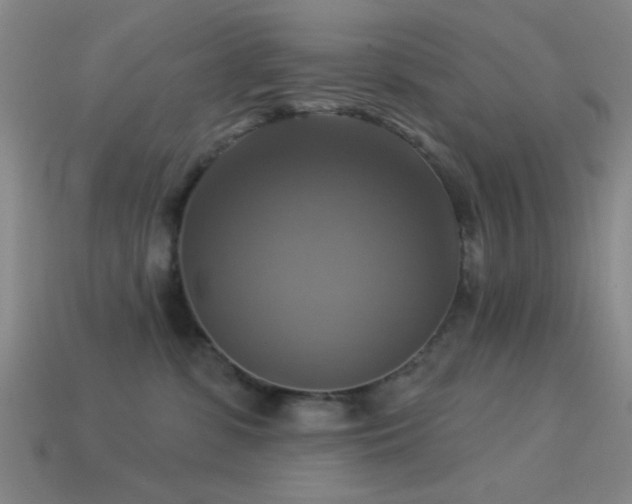 X0000113340331200909151136