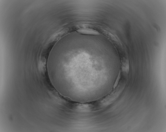 X0000113340332200909151136