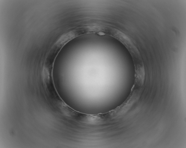 X0000113340333200909151136