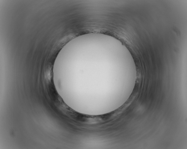 X0000113340334200909151136