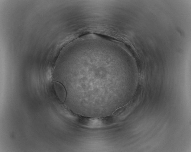 X0000113340335200909151136