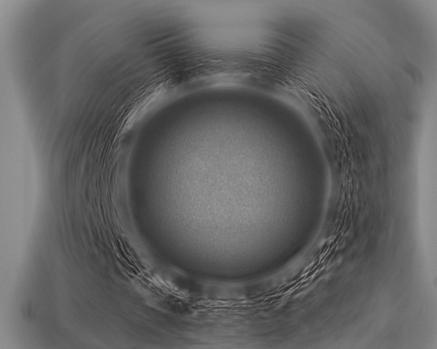 X0000113340337200909151135