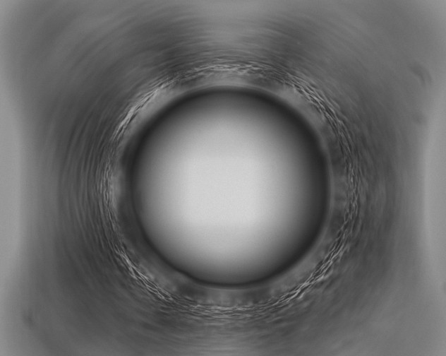 X0000113340338200909151135