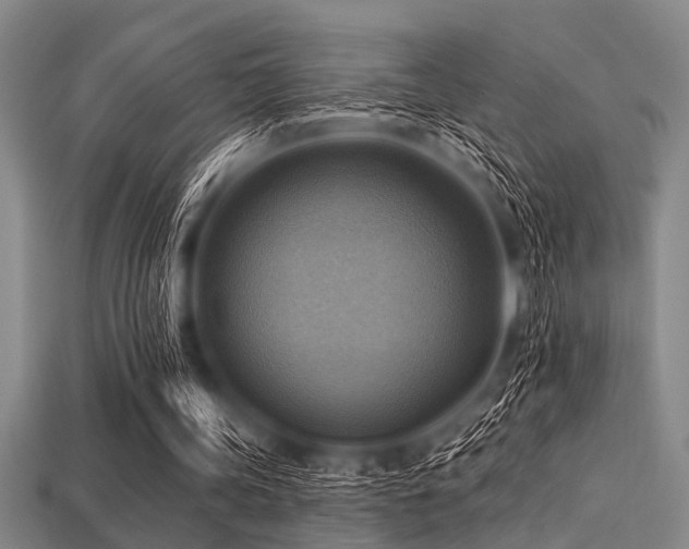 X0000113340339200909151135