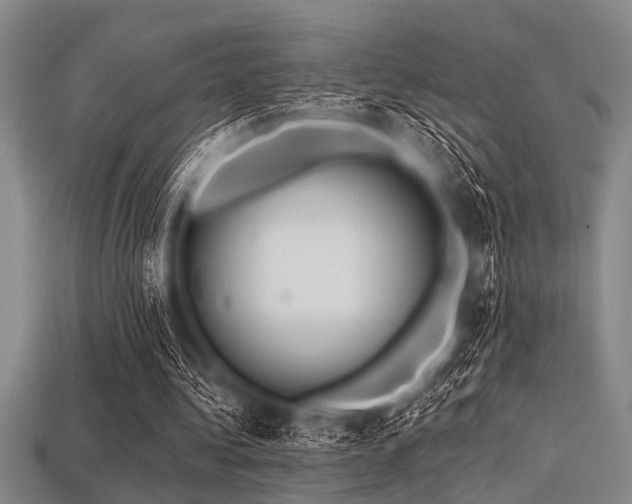 X0000113340340200909151135