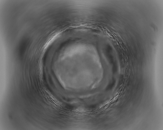 X0000113340341200909151135