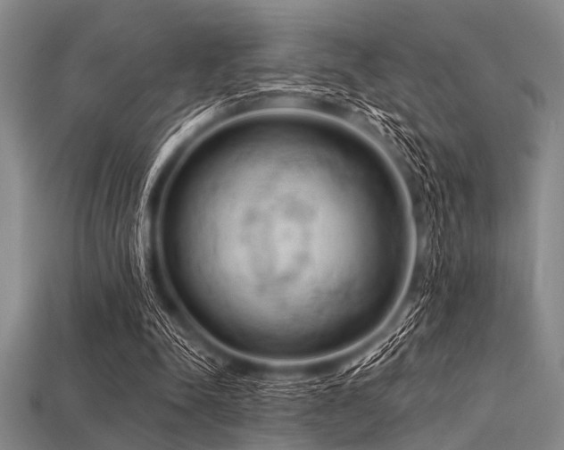 X0000113340342200909151135