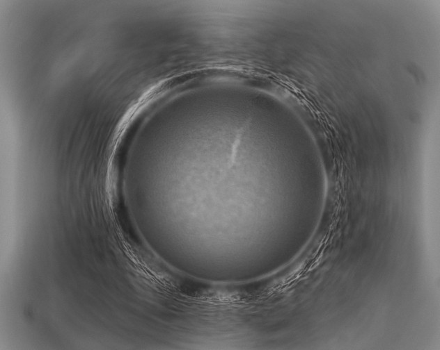 X0000113340343200909151135