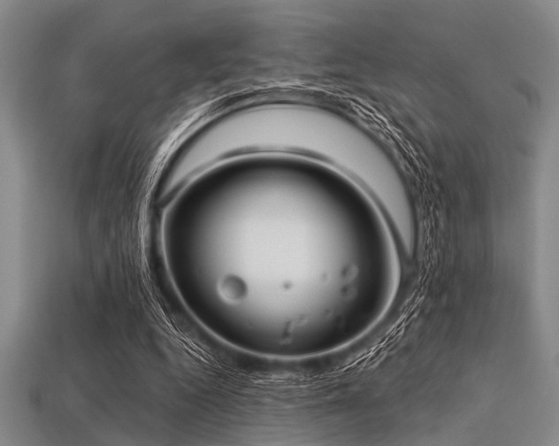 X0000113340344200909151136