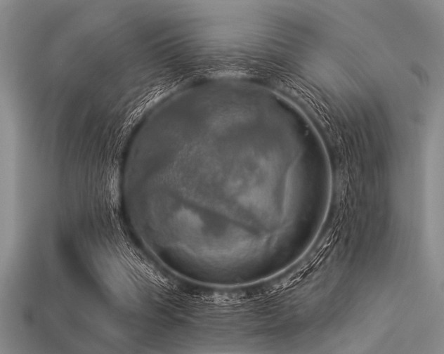 X0000113340345200909151136