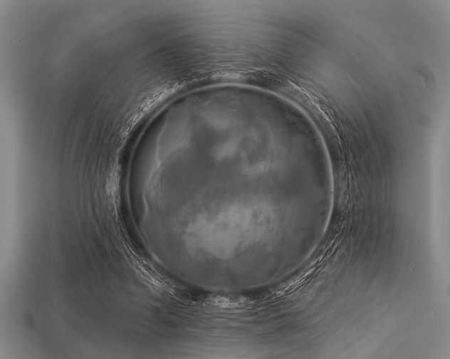 X0000113340346200909151136