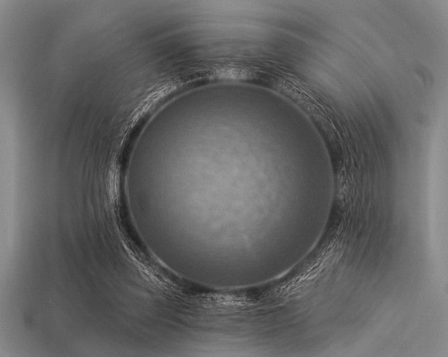 X0000113340347200909151136