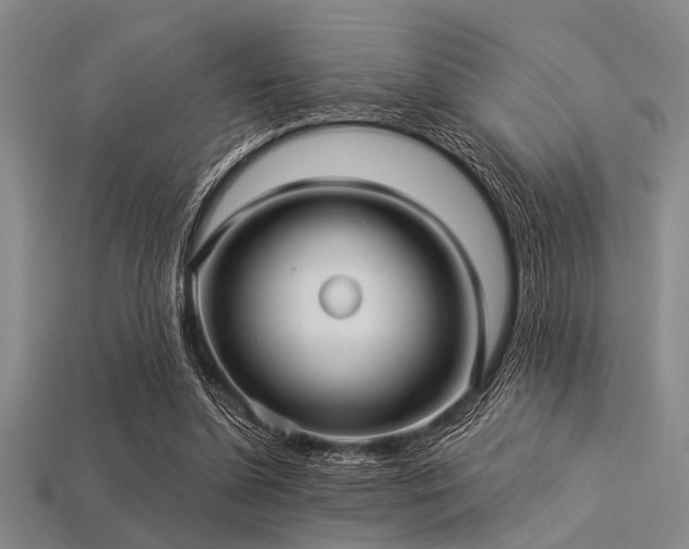 X0000113340348200909151136