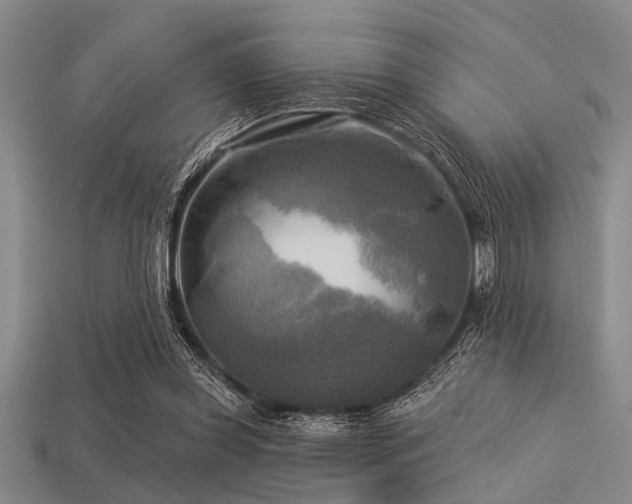 X0000113340349200909151136