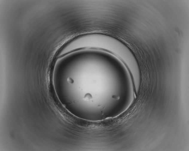 X0000113340350200909151136