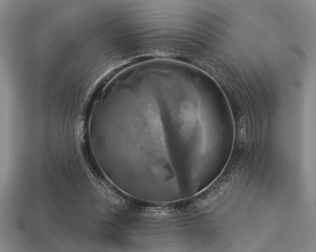 X0000113340351200909151136