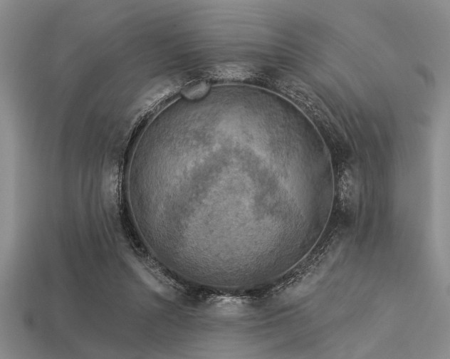 X0000113340352200909151136