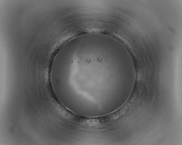 X0000113340353200909151136