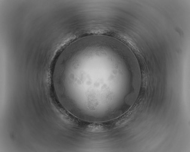 X0000113340354200909151136