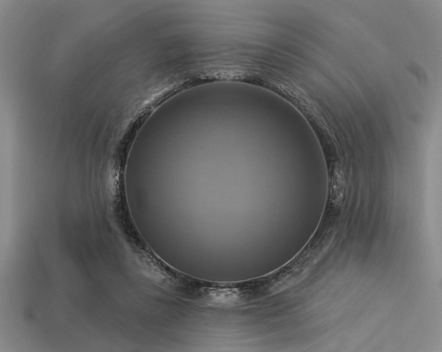 X0000113340355200909151136