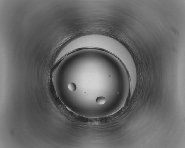 X0000113340356200909151136