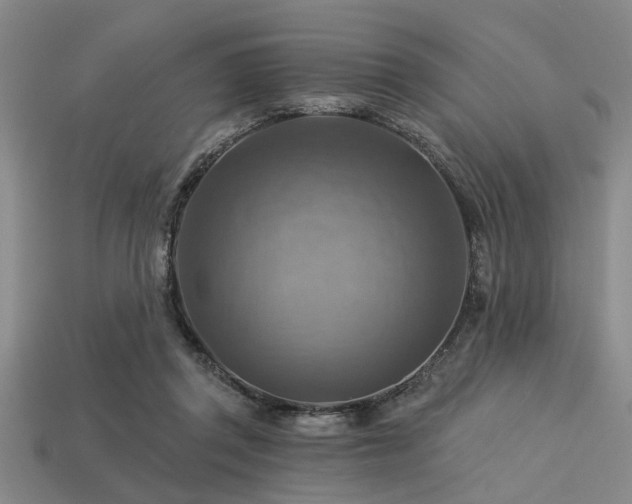 X0000113340357200909151136