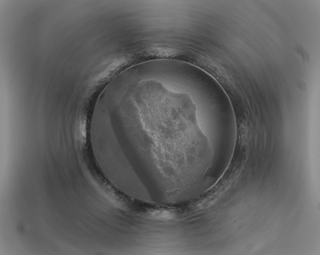 X0000113340358200909151136