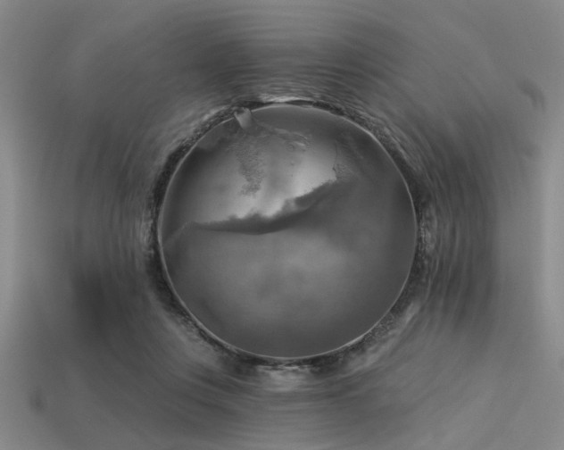 X0000113340359200909151136