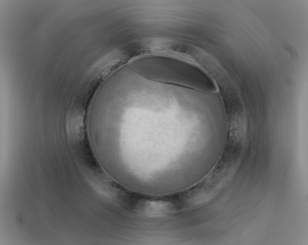 X0000113340360200909151136