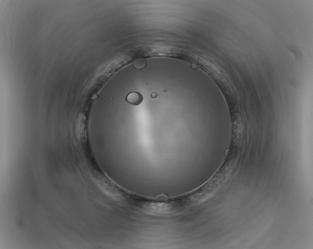 X0000113340361200909151136