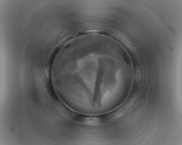 X0000113340363200909151136