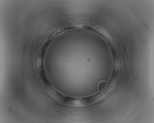 X0000113340365200909151136