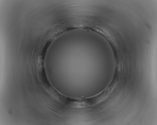 X0000113340366200909151136