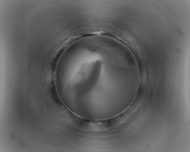 X0000113340367200909151136