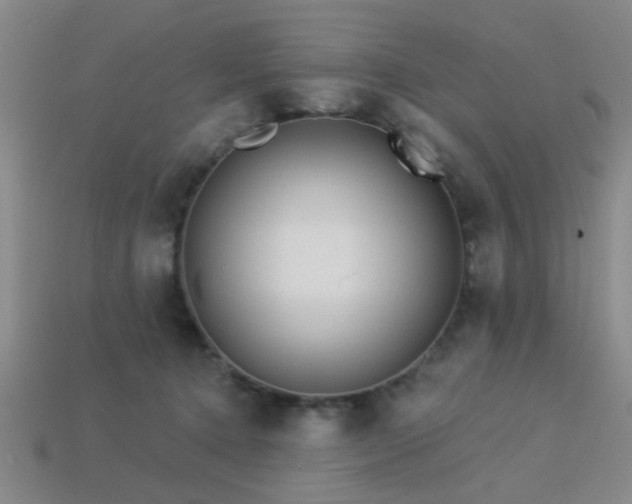 X0000113340368200909151136