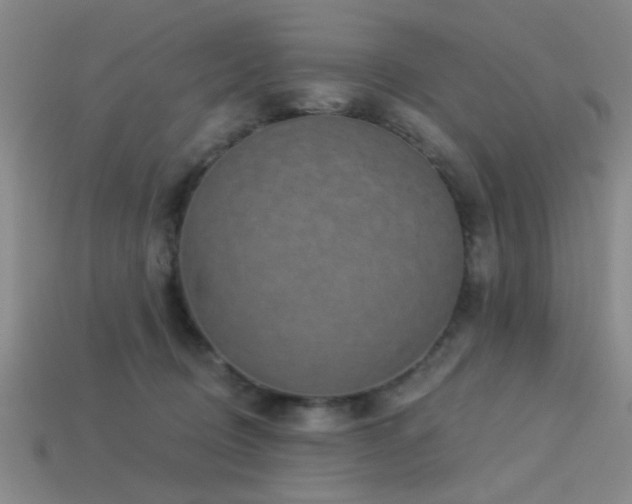 X0000113340370200909151136