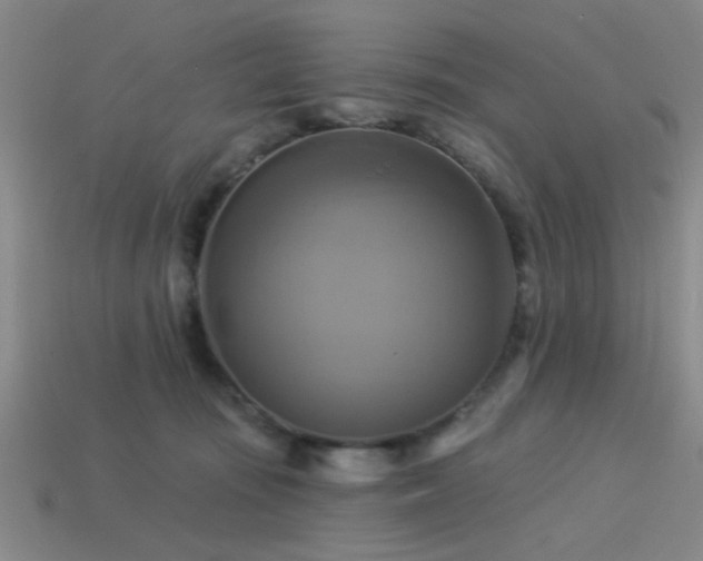 X0000113340371200909151136
