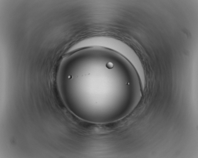 X0000113340372200909151136