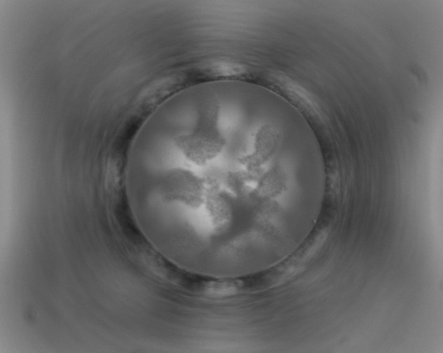 X0000113340373200909151136