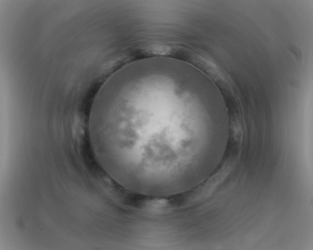 X0000113340374200909151136